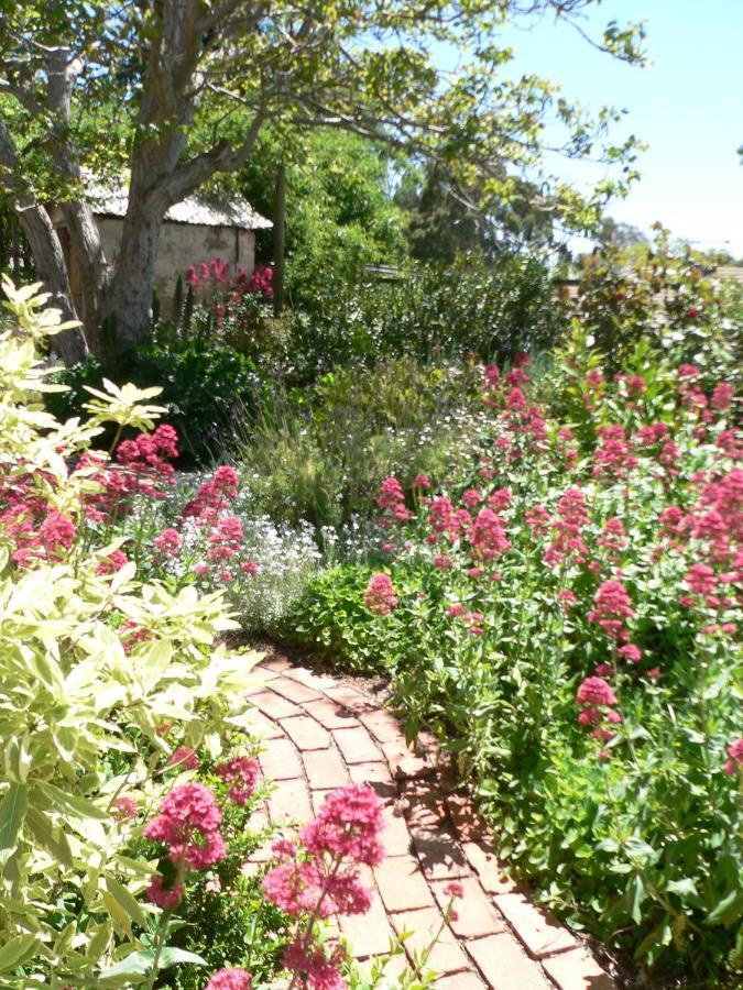 Walnut Cottage Angaston Quarto foto